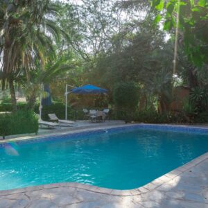 The swimming pool at Palmwood Lodge in Lusaka, ringed by flagstone paving, loungers and palms