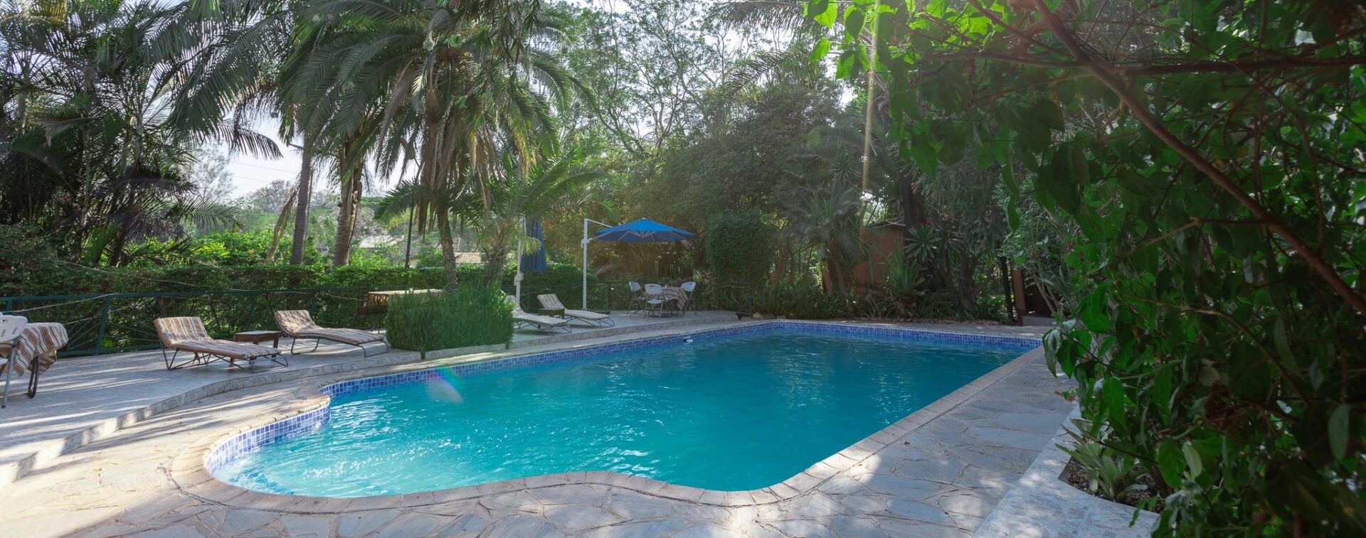 The swimming pool at Palmwood Lodge in Lusaka, ringed by flagstone paving, loungers and palms