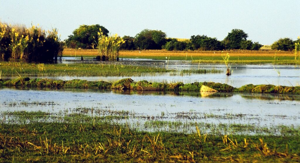 Paisagem das Zonas Húmidas de Bangweulu, para quem visita pela primeira vez