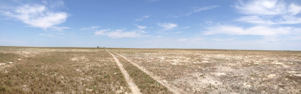 Paisagem aberta em Liuwa Plain, para quem visita pela primeira vez