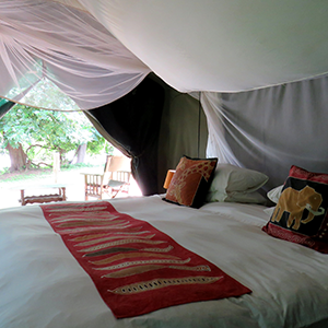 The Luangwa river frontage at Croc Valley Camp, South Luangwa, Zambia.