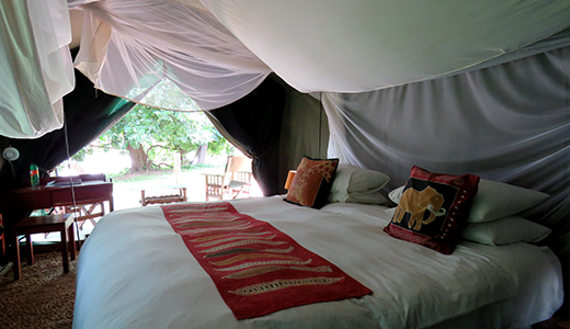 A frente ribeirinha do Luangwa no Croc Valley Camp, South Luangwa, Zâmbia.