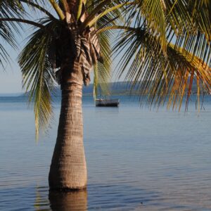 A palm tree leaning over the clear shallows of Lake Tanganyika with a moored canoe offshore, northern Zambia. Context photograph of the shore near Ndole Bay Lodge, not of the property itself.