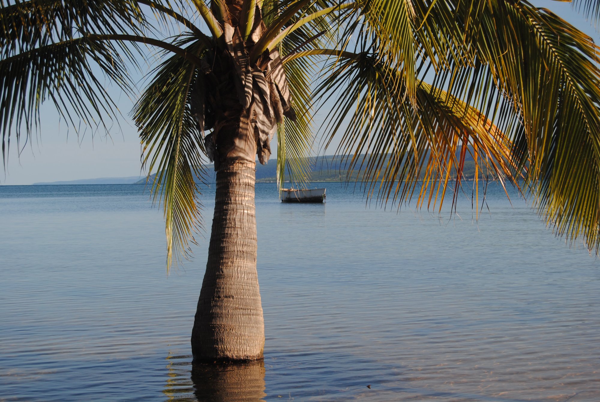 A palm tree leaning over the clear shallows of Lake Tanganyika with a moored canoe offshore, northern Zambia. Context photograph of the shore near Ndole Bay Lodge, not of the property itself.