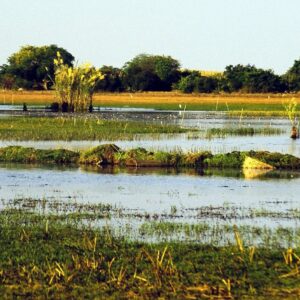The Bangweulu Wetlands in the dry season — location context, not a photograph of this property