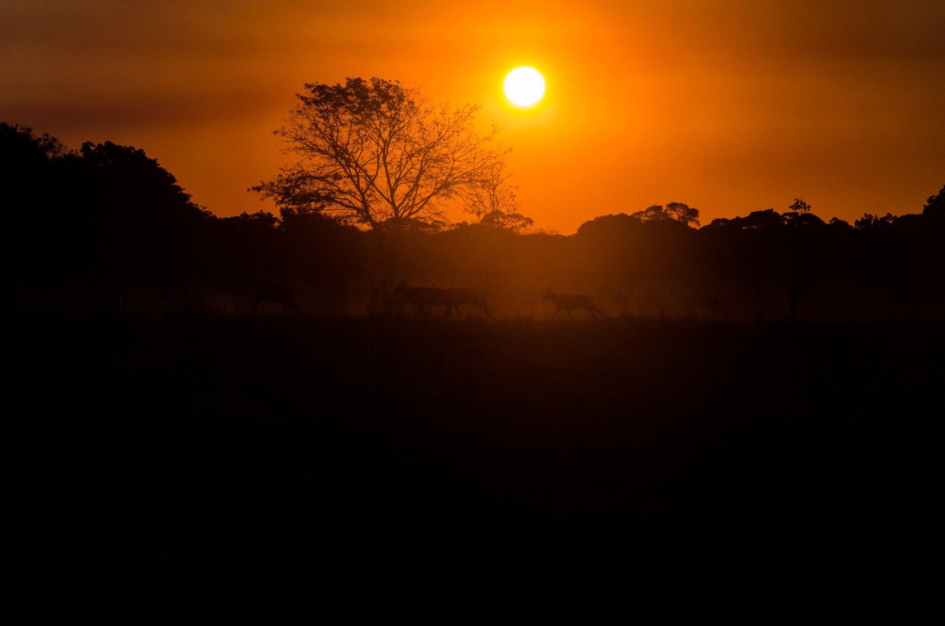 Sunset in Kafue National Park, a common stop on Zambia tours