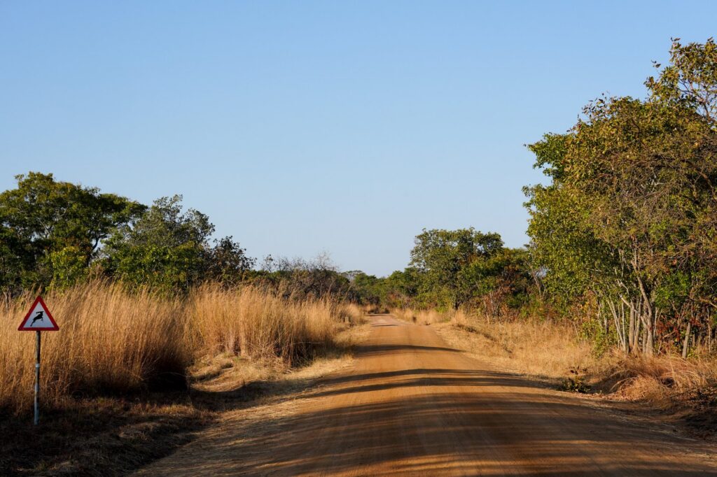 Graded dirt road running through miombo woodland in Kafue National Park