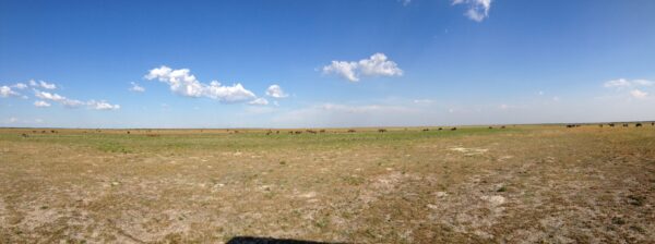 Open grassland in Liuwa Plain National Park — location context, not a photograph of this property