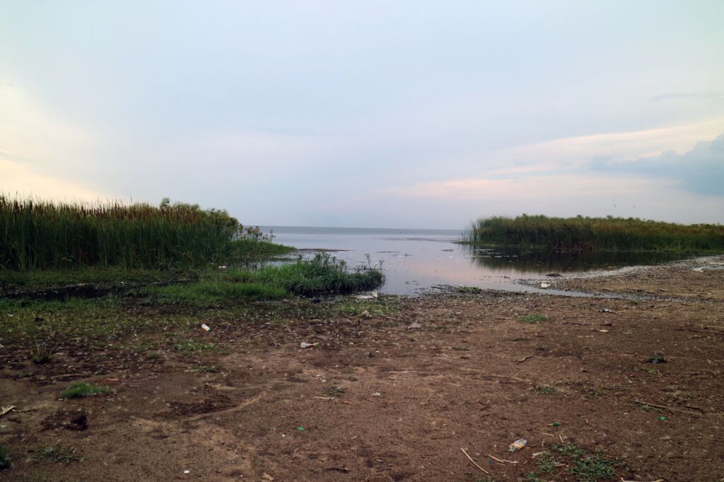 Reed-fringed floodplain water on the Kafue Flats seen from Lochinvar National Park