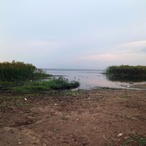 Reed-fringed floodplain water on the Kafue Flats seen from Lochinvar National Park