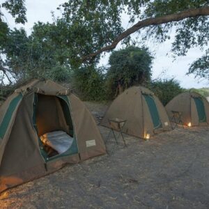 2Days 2 Nights camping safari in Chobe national park,Botswana