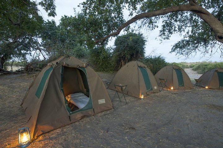 2Days 2 Nights camping safari in Chobe national park,Botswana