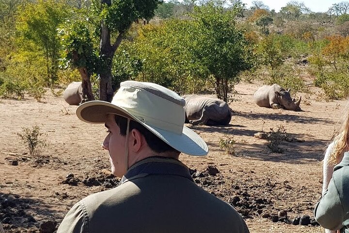 3 Hour Game Drive in Mosi-Oa-Tunya National Park