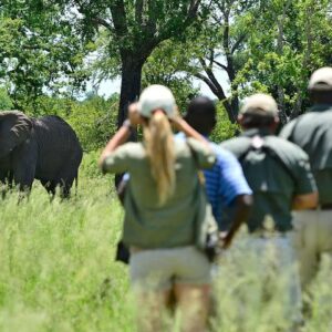 4 Days 3 Nights Victoria Falls Camping Adventure