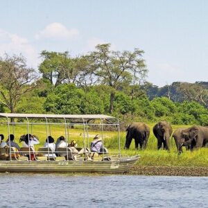Chobe Boat Safari & Game Drive Day Tour Botswana