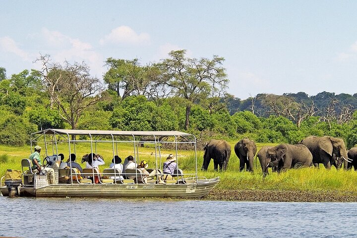 Chobe Boat Safari & Game Drive Day Tour Botswana
