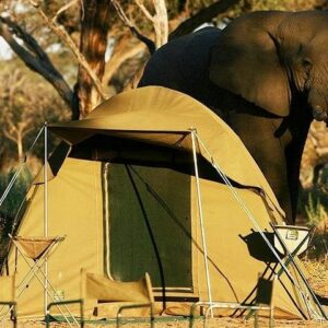 Chobe Camping 1day & 1night