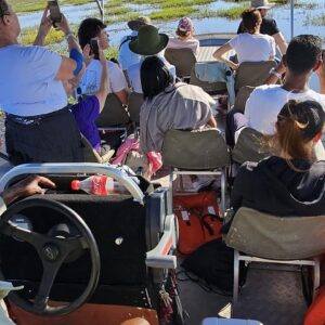 Chobe Day Trip