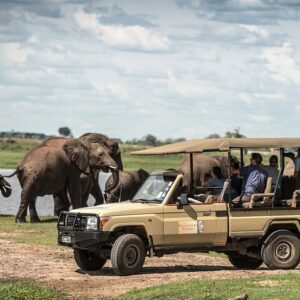 Chobe Day Trip, Botswana Ex Victoria falls or Livingstone