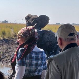 Chobe Day Trip From Livingstone