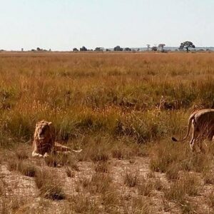 Chobe Day Trip from Livingstone, Zambia