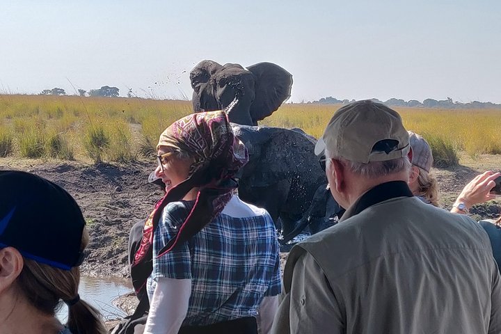 Chobe Day Trip From Livingstone