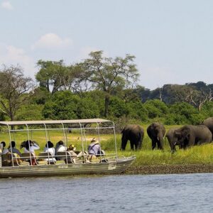Chobe Full Day Safari Trip
