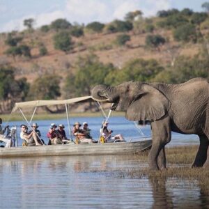 Chobe Full Day Safari with Buffet Lunch from Livingstone