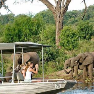 Chobe Full Day Trip