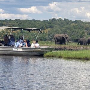 Chobe national Park Safari Full-Day Tour to Botswana