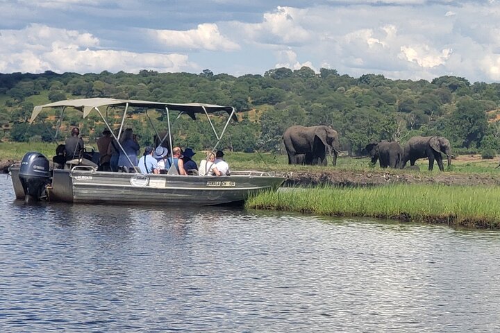 Chobe national Park Safari Full-Day Tour to Botswana