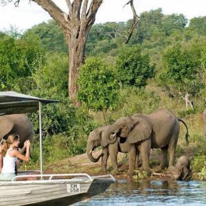 Chobe Safari Day Trip From Livingstone