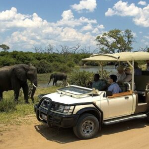 Chobe Safari Day Trip | Livingstone to Botswana
