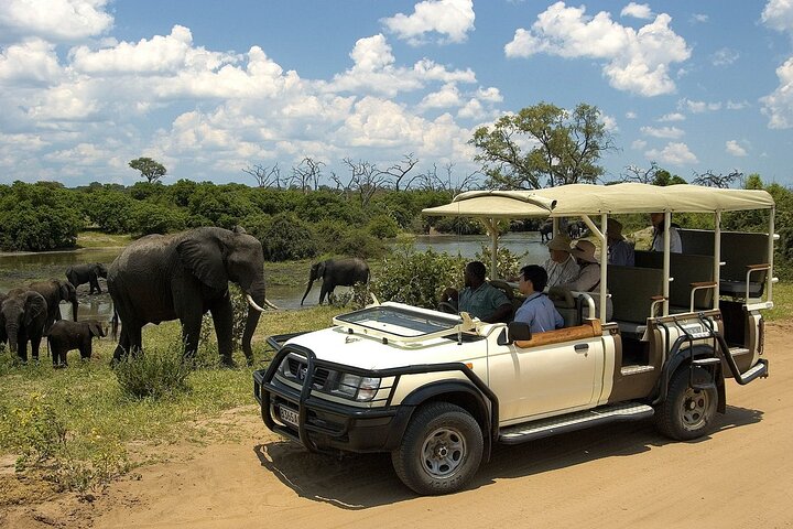 Chobe Safari Day Trip | Livingstone to Botswana
