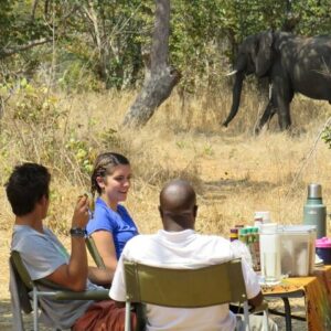Chobe Safari Overnight Camping Trip