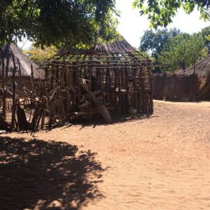 Community visits - full day package