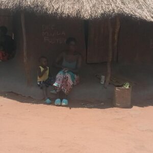 Cultural village tour