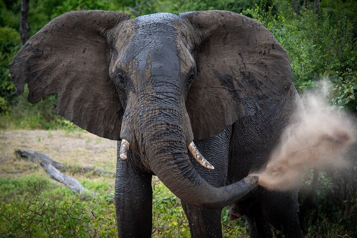 Explore Chobe Day Tour + falls guided Tour 2day package