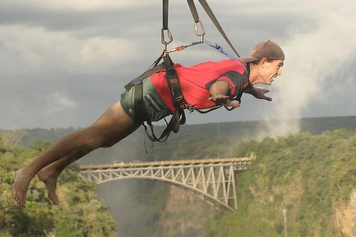 Flying Fox