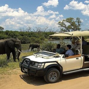 Full Day Chobe Boat Cruise & Game Drive Safari Experience