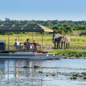 Full Day Private Tour in Chobe