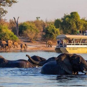 Full Day Tour to Chobe National Park and Botswana