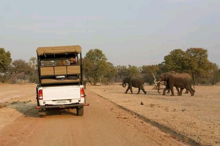 Full-Day Trip Chobe National Park Safari