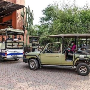 Game Drive and Short Rhino Walking Safari