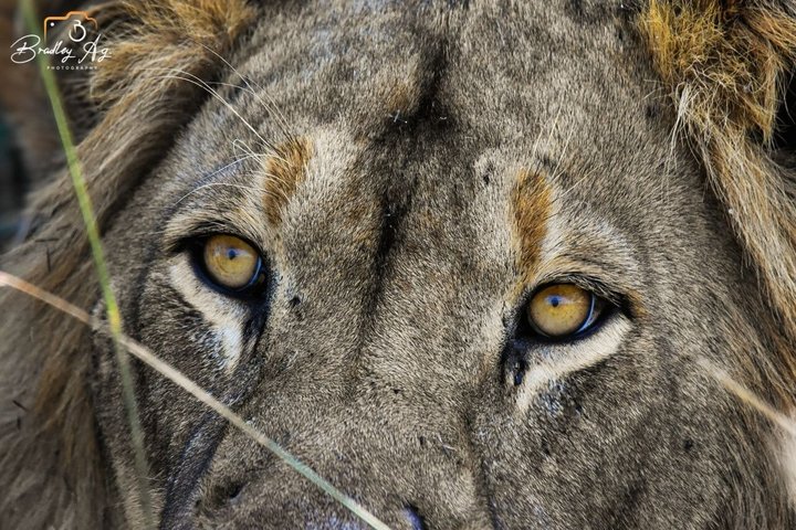 Hwange National Park Day Trip with Breakfast and Lunch