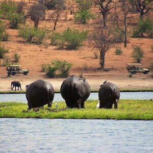 Livingstone to South Luangua National Park package