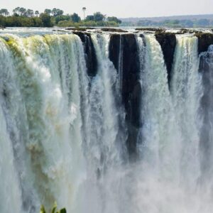 Luxury Car Rentals for Business and Safari Adventures