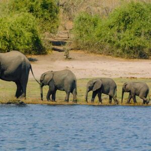 Mosi oa Tunya National Park and Rhino walking Safaris