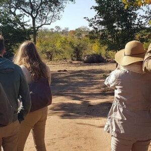 Mosi-oa-Tunya National Park, Rhino game drive