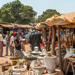 Private Exotic Zambia Cultural Half-Day Tour